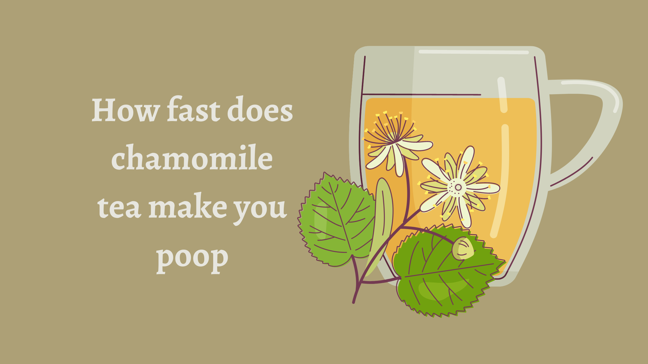 does chamomile tea make you poop