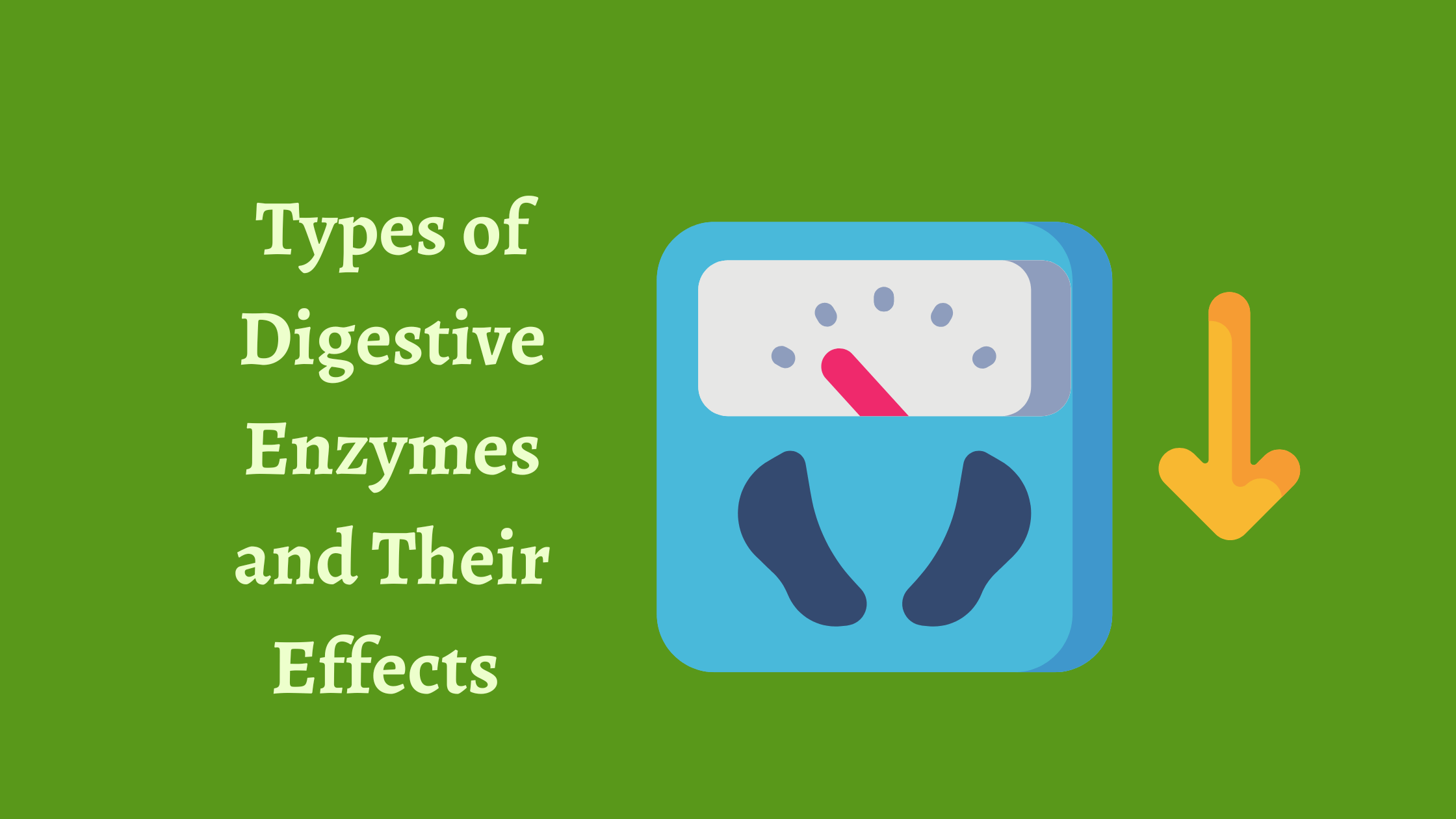 Types of Digestive Enzymes and Their Effects