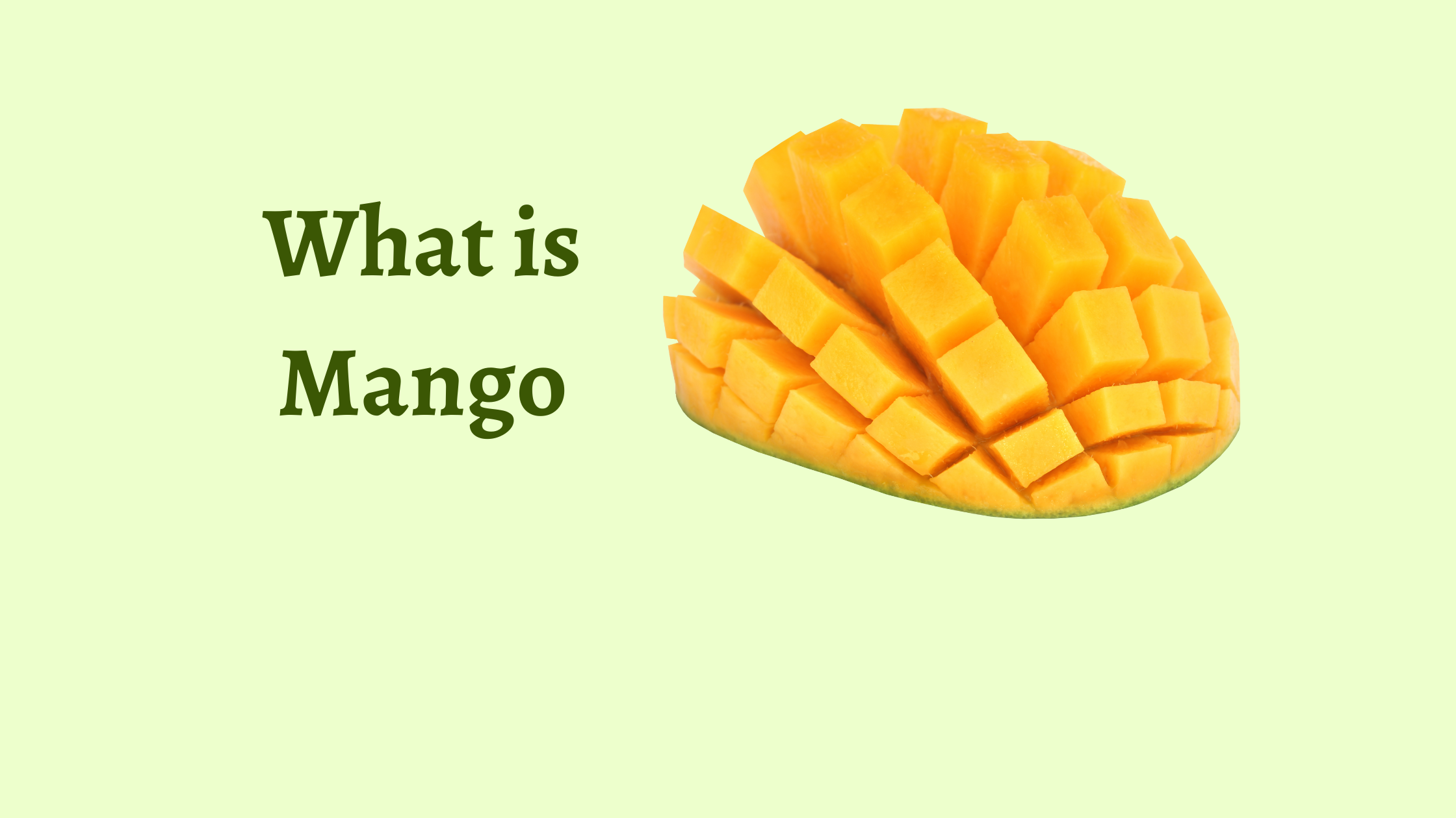 What is Mango