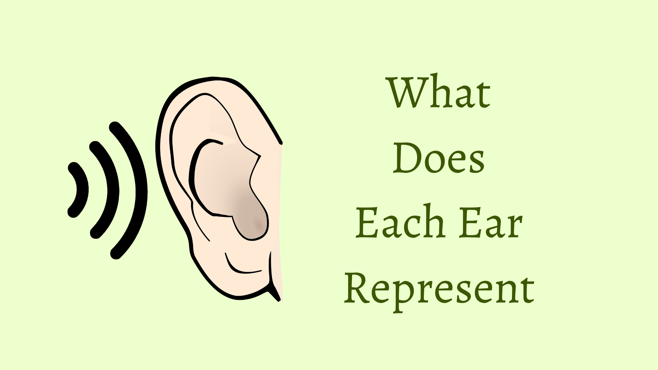 Each Ear Represent