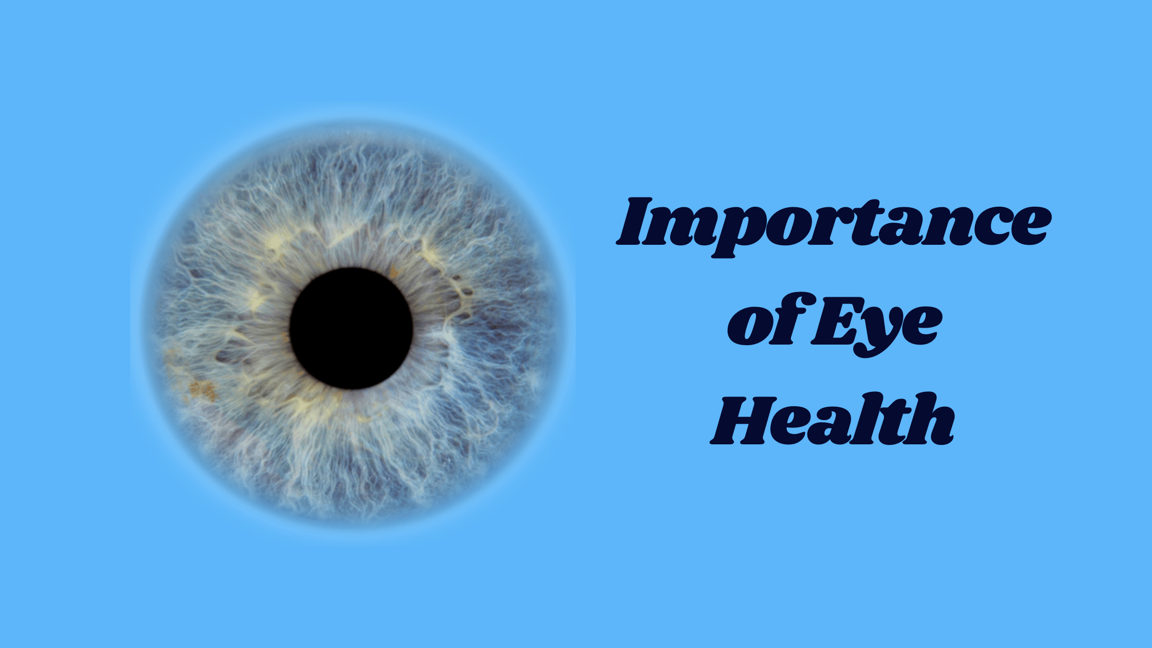 Importance of Eye Health