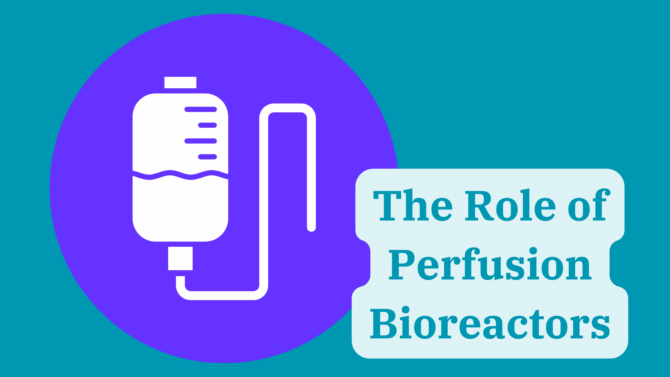 Role of Perfusion Bioreactors